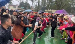 屯昌新兴镇爆料事件最新,真相揭开，村民权益引发关注