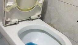 马桶最新八卦爆料,揭秘娱乐圈最新马桶门事件