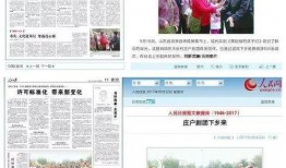青县爆料最新新闻网视频,最新新闻网视频揭秘事件真相
