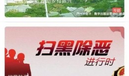 青县爆料最新新闻网视频,最新新闻网视频揭秘事件真相