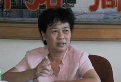 海口市韩美最新爆料,揭秘韩美项目背后的真相与争议