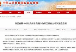 猪瘟最新爆料消息通知,揭秘病毒传播途径与防控措施