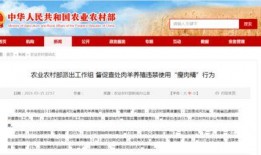 青县爆料最新新闻网视频,最新新闻网视频揭秘事件真相