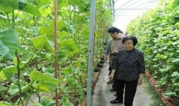 溧阳吃瓜最新事件爆料是真的吗,真相揭秘还是网络谣言？