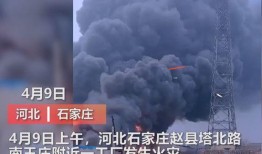 重庆梁平爆料事件视频最新,视频揭露惊人真相，引发社会关注