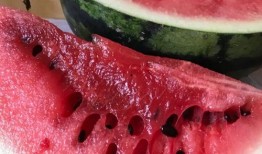 最新吃瓜爆料图片