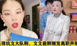 文文最新爆料张兰,揭秘文文背后的惊人真相