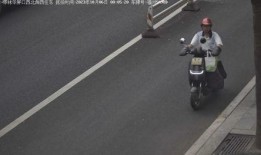 电动车事件最新爆料,揭秘真相与争议再起